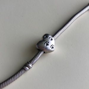 Pandora Charm
